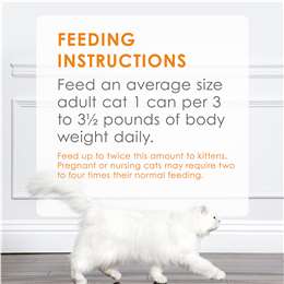 Fancy Feast Poultry & Beef Classic Pate Gourmet Cat Food Tins