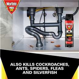 Mortein Powergard Flying Insect Spray
