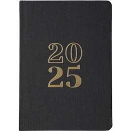2025 Hardcover Iridescent Diary Assorted each