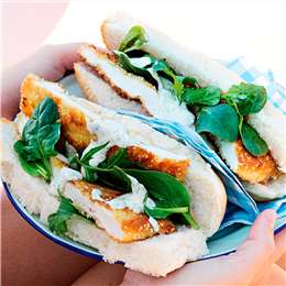 Chicken Sandwich Chicken Sandwich Schnitzel