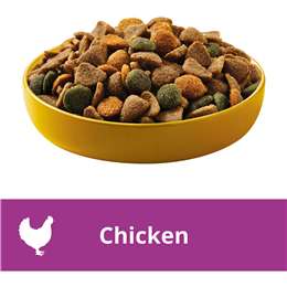 Pedigree Small Breed Adult With Real Chicken Dry Dog Food