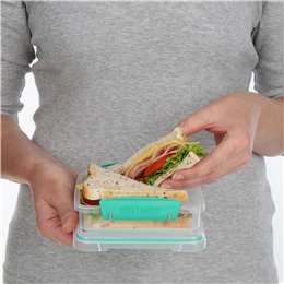 Sistema Plasticware Sandwich Box To Go Assorted