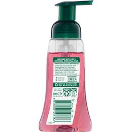 Palmolive Foaming Liquid Hand Wash Soap Pump Raspberry