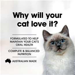 Fussy Cat Grain Free Adult Dry Cat Food Beef & Kangaroo & Sweet Potato