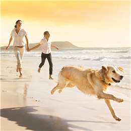Natures Goodness Grain Free Mature Chilled Fresh Dog Food Roll Turkey