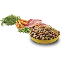 Pedigree Large Breed With Beef Dry Dog Food