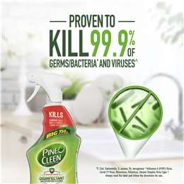 Pine O Cleen Disinfectant Multipurpose Cleaner Trigger Spray Apple