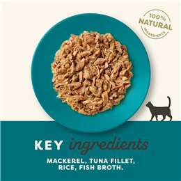 Applaws Cat Food Tins: Ocean Fish 