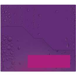 Hydralyte Electrolyte Powder Sachets Apple Blackcurrant