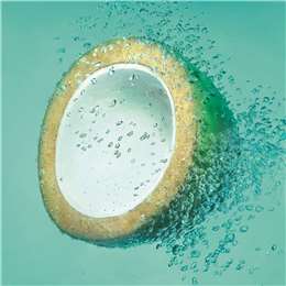 Garnier Fructis Coconut Water Shampoo Shampoo