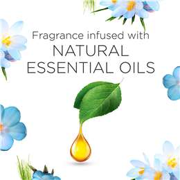 Air Wick Pure Electric Diffuser Spring Delight Diffuser + Refill