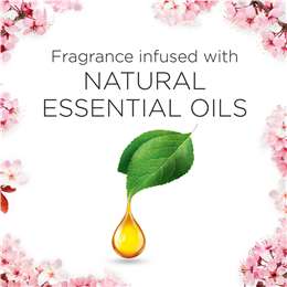 Air Wick Pure Electric Diffuser Cherry Blossom Twin Refill