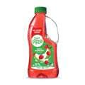 Diet Rite Cordial Apple Raspberry 1L