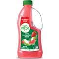 Diet Rite Apple Strawberry Guava Cordial 1L